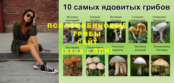 экстази Приозерск