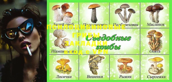 ешки Алексеевка
