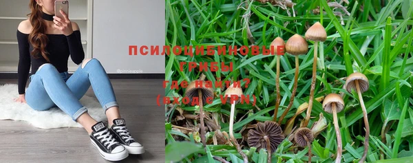 мяу мяу кристалл Алексин