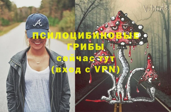 ешки Алексеевка