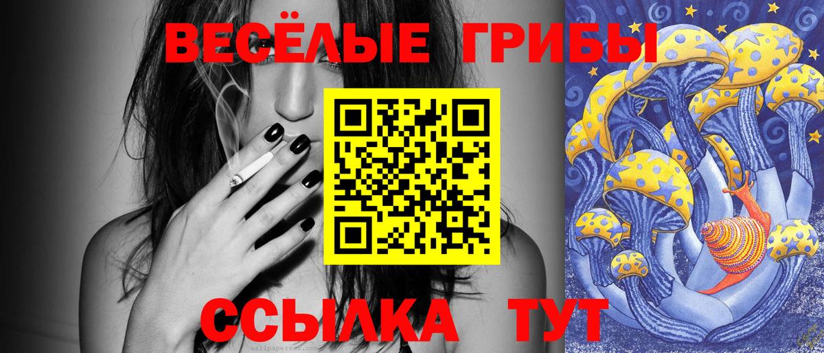 как найти закладки  Вход с VPN  Галлюциногенные грибы Psilocybine cubensis  Углич  Псилоцибиновые грибы мицелий 
