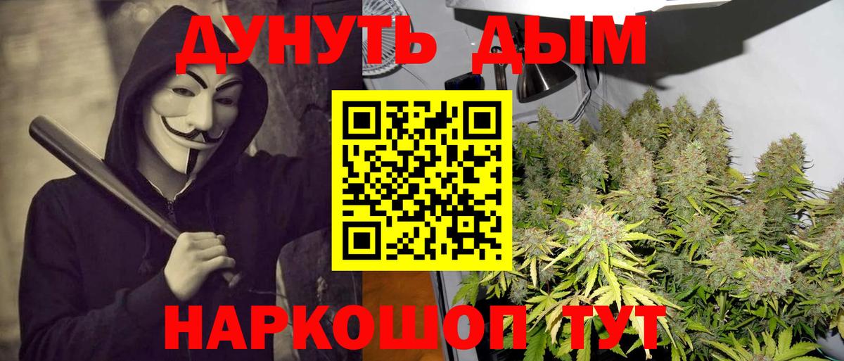 Бошки Шишки конопля  Марихуана AK-47  Вход с VPN  Углич  Конопля THC 21%  Каннабис тримм 